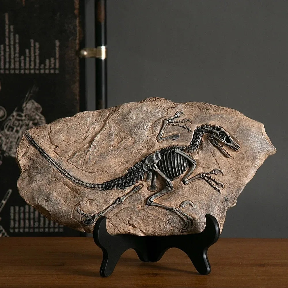 Estátua Decorativa Fóssil de Dinossauro