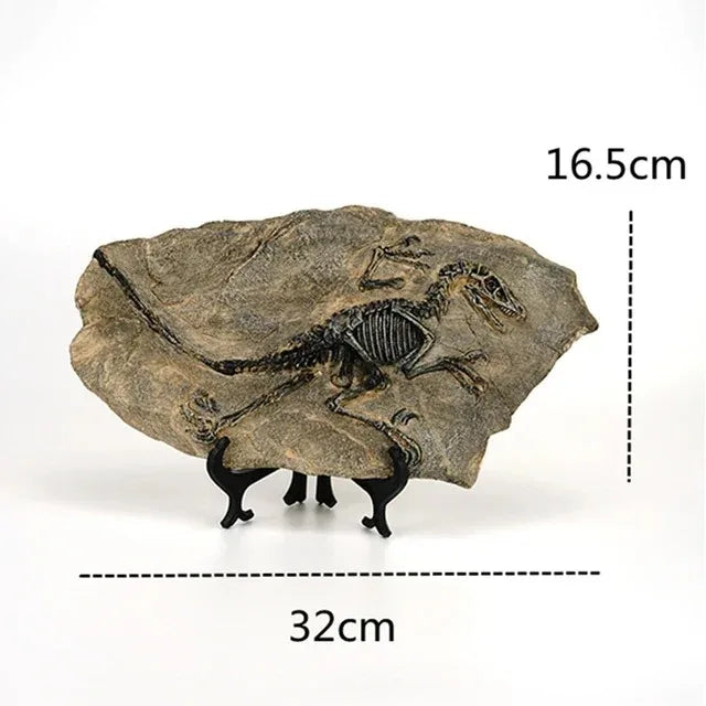 Estátua Decorativa Fóssil de Dinossauro