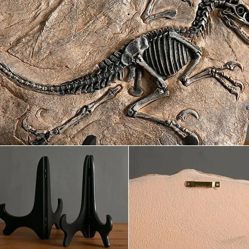 Estátua Decorativa Fóssil de Dinossauro